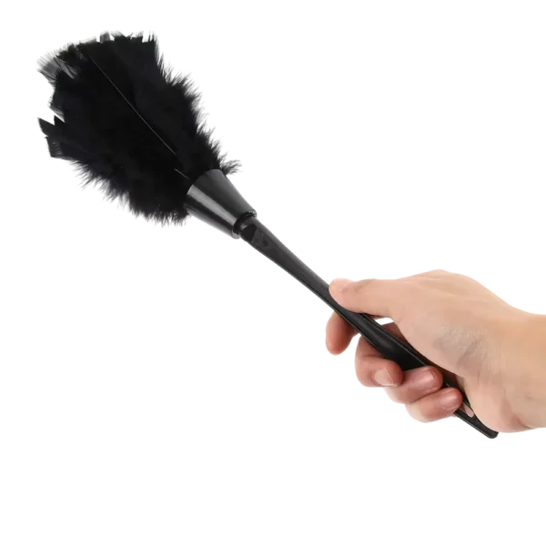 Plumeau à poussière noir