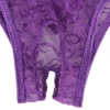 culotte sans entrejambes